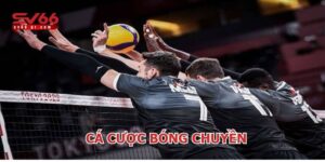cá cược bóng chuyền